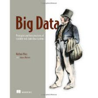 Big data : principles and best practices of scalable real-time data systems