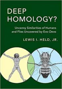 Deep Homology ? Uncanny similaraties of himans and flies uncovered by Evo