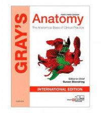Gray's Anatomy the anatomical basis of Clinical Practice