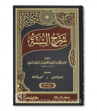 Syarah sunnah / Muhammad al Husain Bin Mas'ud al Baghwi