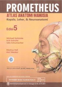 prometheus atlas anatomi manusia : kepala, leher, & neuroanatomi